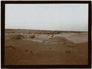 Südl. v. wadi rarandal Kalkhauben