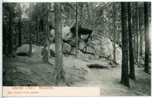Okertal. Mausefalle