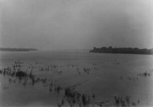 Der Rio Parana : Unterwegs auf dem Rio Parana.