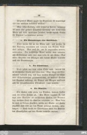 9. Die Ameisen.