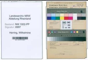Entnazifizierung Wilhelmine Herring , geb. 27.11.1894 (Prokuristin)