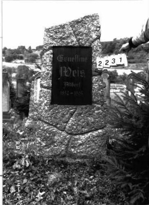 Grabstein 2231 (Index: 100097298) Maße HxBxT: 169x69x53 cm: Grabstein 2231