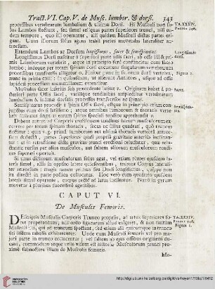 Caput VI: De Musculis Femoris