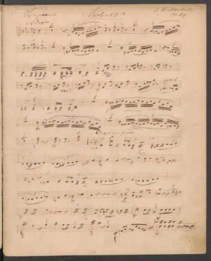 Violino II (5x)