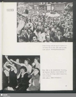 Publikum