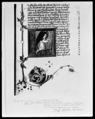Lateinische Bibel — Initiale L (iber generationes), darin Evangelistensymbol des Matthäus