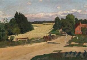 Felder im Sommer
