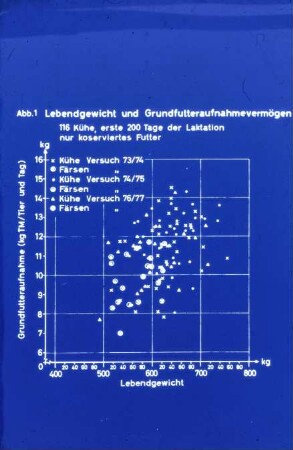 Lebendgewicht und Grundfutteraufnahmevermögen (116 Kühe, erste 200 Tage der Laktation, nur konserviertes Futter)