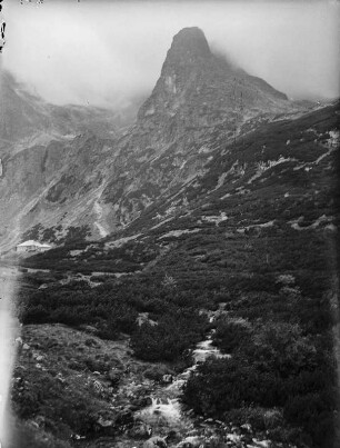 Bach : Bach durch die Bergrücken der Hohen Tatra