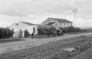 Weingut eines italienischen Kolonisten : Blick auf ein Gebäude mit Opuntien und Personen davor