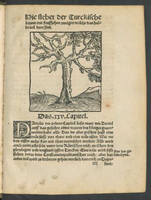 Das .xxv. Capitel.