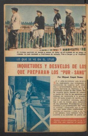 Inquietudes y desvelos de los que preparan los "Pur-Sang" : Lo que se ve en el stud