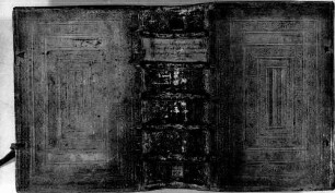Des 'Doctoris beeder Arznei und höchsten teutschen Philosophi' Aurelii Theophrasti Paracelsi Bombast von Hohenhaim Auslegung des Evangeliums Matthäi - BSB Cgm 949