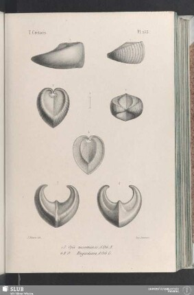Pl. 253