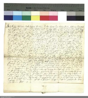 Revers Adolf Melchiors und Kaspars von und zu der Tann zu Ketten bezüglich der Belehnung mit vier Gütern in Neuswarts durch Adalbert [von Schleifras], Abt von Fulda