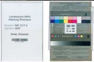 Entnazifizierung Elisabeth Striak , geb. 24.06.1905 (Buerohilfskraft)
