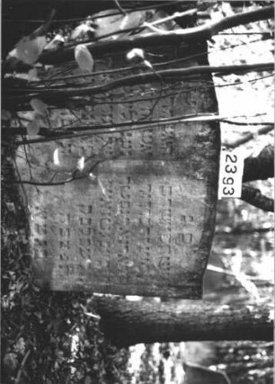 Grabstein 2393