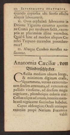 I. Anatomia Caeciliae, vom Blindenschlycher.