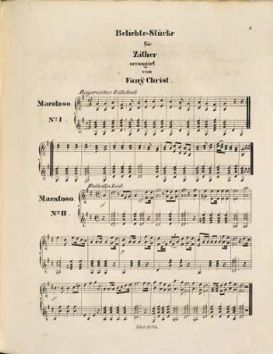 Beliebte Stücke : für Zither