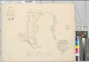 Marbeck (Borken), Gemeinheit Wirthe, Wirther Feld, Lage, Tushaus Heide, Bodarbsche Heide, Teilung der Butenwirther Mark, Bl.9 Brouillonkarte Flur II Mühlenbusch