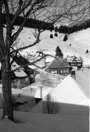 Todtnauberg: Blick von Büreten ins Tal