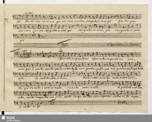 716. Finale: Osservate un pocolino / Naumann, J.G.