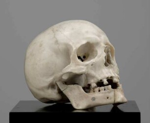 Totenkopf