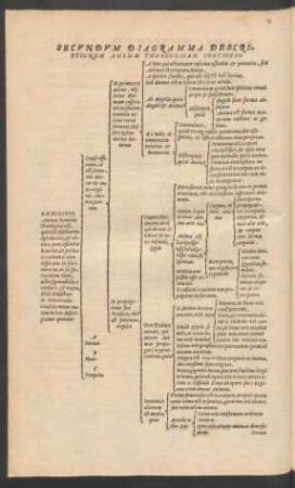 Secundum Diagramma Descriptionem Animae Theologicam Continens.