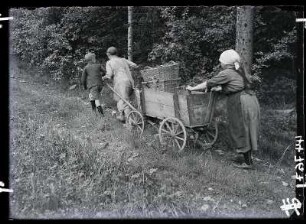 Frauen mit Leiterwagen und Tragekörben auf dem Weg zum Brennholzsammeln im Gemeindewald : Frauen mit Leiterwagen und Tragekörben auf dem Weg zum Brennholzsammeln
