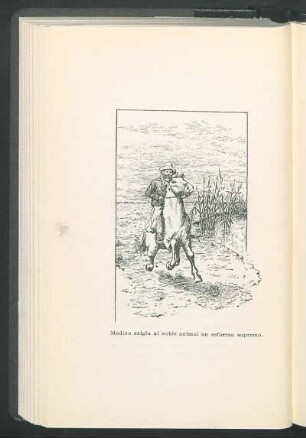 [Un gaucho a caballo]