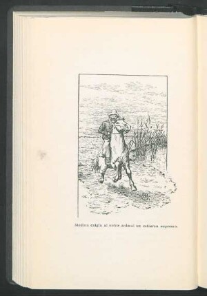 [Un gaucho a caballo]