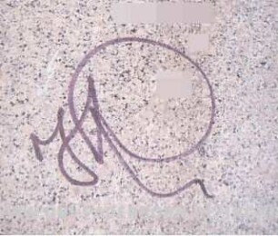 JR