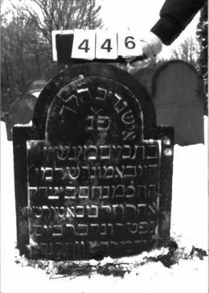 Grabstein 446