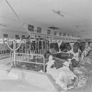 LPG Sohland und andere landwirtschaftliche Volksbetriebe - Bautzen