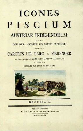 Decuria IV: Icones piscium Austriae indigenorum. Decuria IV