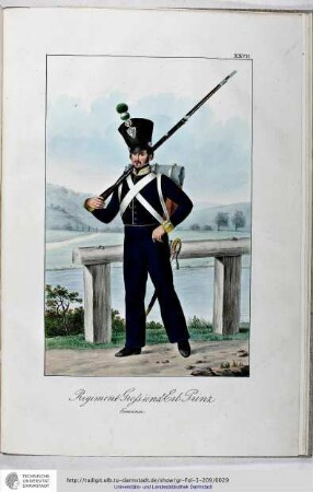 Regiment Gross- und Erb-Prinz. Gemeiner