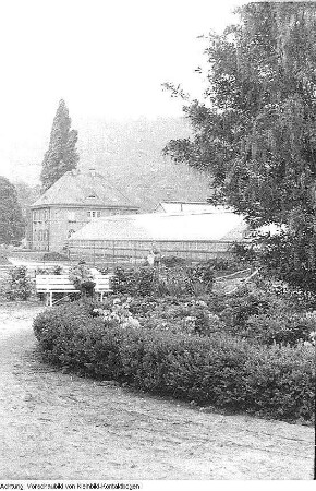 Dresden, Pillnitz. Versuchsanstalt, Gewächshäuser, Mai 1952