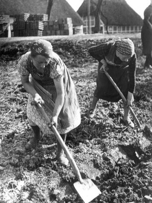 Vierlanden, Frühjahrsarbeit 1940 : Hamburg-Vierlanden. Bäuerinnen bei der Frühjahrsarbeit. Hier wird ein Erdbeerfeld umgegraben