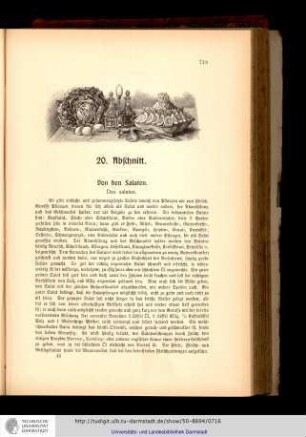 20. Abschnitt. Von den Salaten