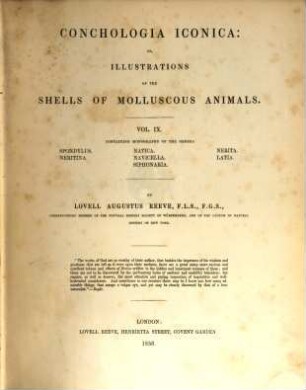 Conchologia iconica: or, illustrations of the shells of molluscous animals. IX
