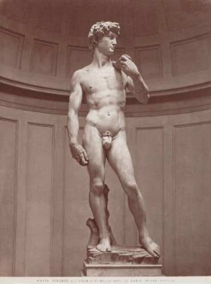 Statue des David von Michelangelo in der Accademia die Belle Arti in Florenz