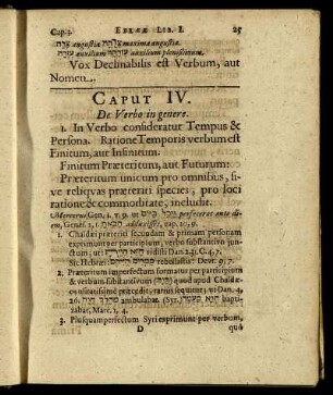 Caput IV. De Verbo in genere.