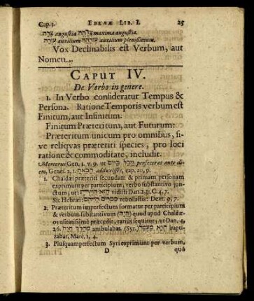 Caput IV. De Verbo in genere.