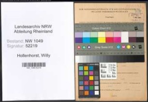 Entnazifizierung Willy Hollenhorst , geb. 07.04.1912 (Arzt)