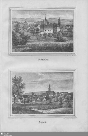Steinpleis, Lugau