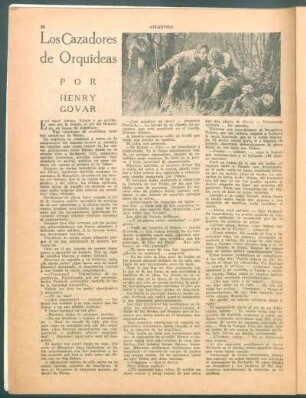 Los cazadores de orquídeas