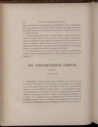 XIV. Tetrabothrium Crispum