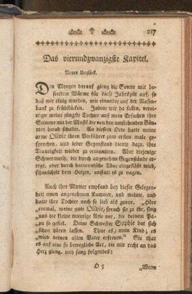Das vierunszwanzigste Kapitel. Neues Unglück