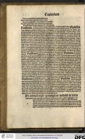 Capitulum xxx. Ait rusticus.