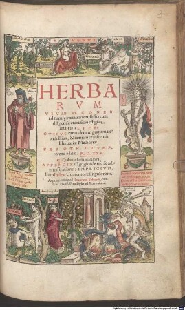 Herbarvm Vivae Eicones : ad natur[a]e imitationem, sum[m]a cum diligentia et artificio effigiat[a]e, una cum Effectibvs earundem, in gratiam ueteris illius, & iamiam renascentis Herbariae Medicinae